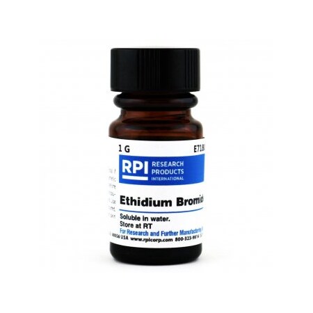 Rpi Ethidium Bromide, Powder, 1 G E71800-1.0